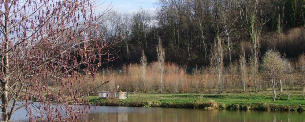 
            Фотография Ноанана