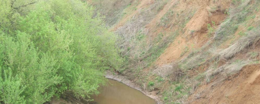 
            Фотография Горного