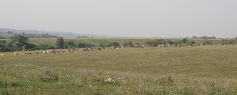 
            Фотография Семёновки