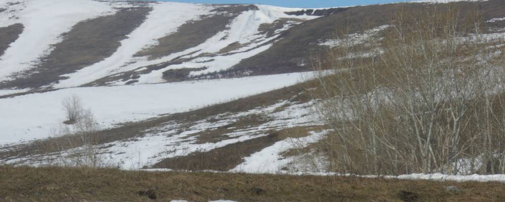 
            Фотография Подгорного