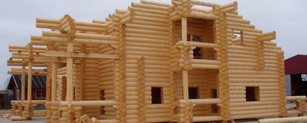 
            Фотография Костылево