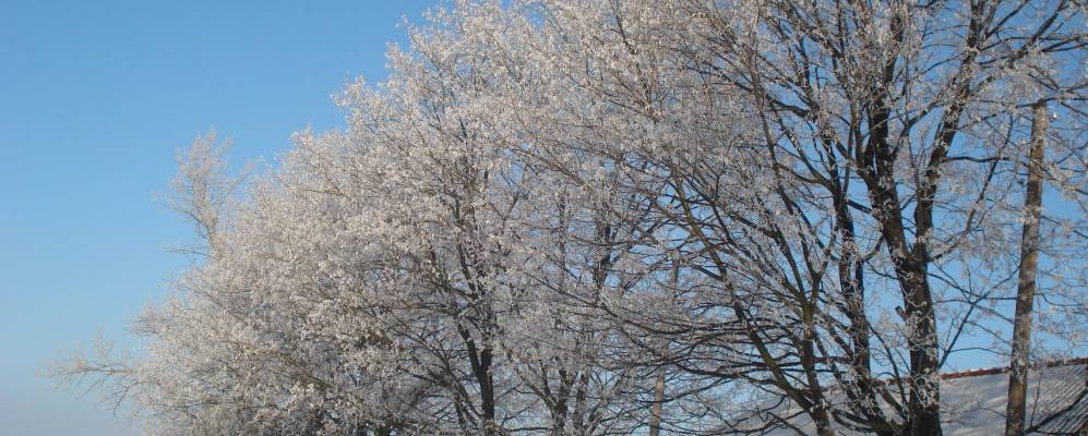 
            Фотография Репужинцы