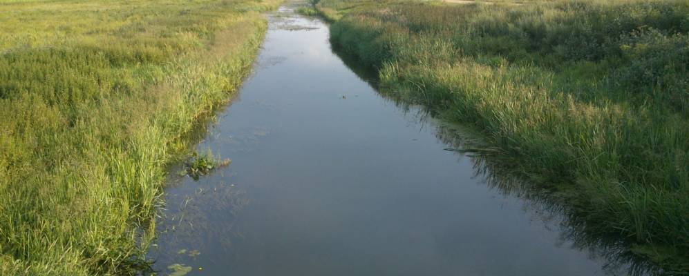 
            Фотография Прощиц