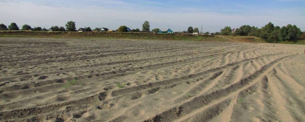 Фотография Тюм-Тюма