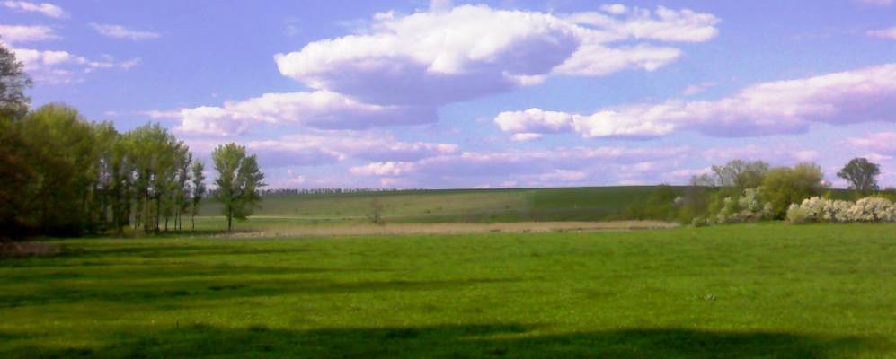 
            Фотография Камышанки