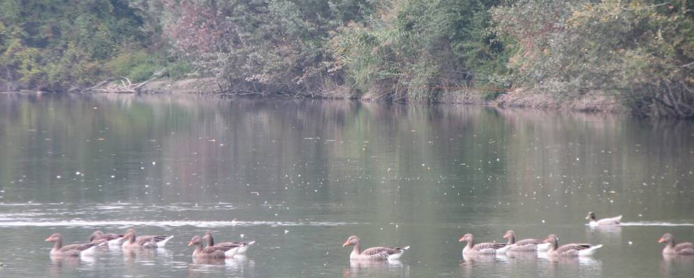 
            Фотография Лунгавилы