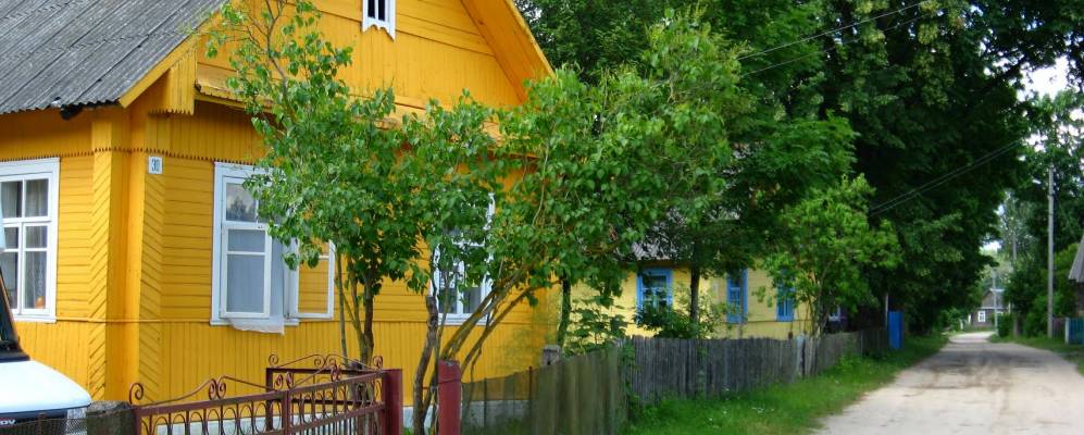 
            Фотография Сырмежа