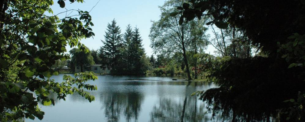 
            Фотография Омсвилла