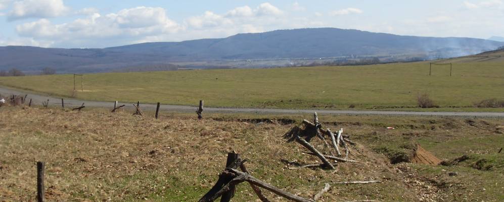 
            Фотография Кобалевицы