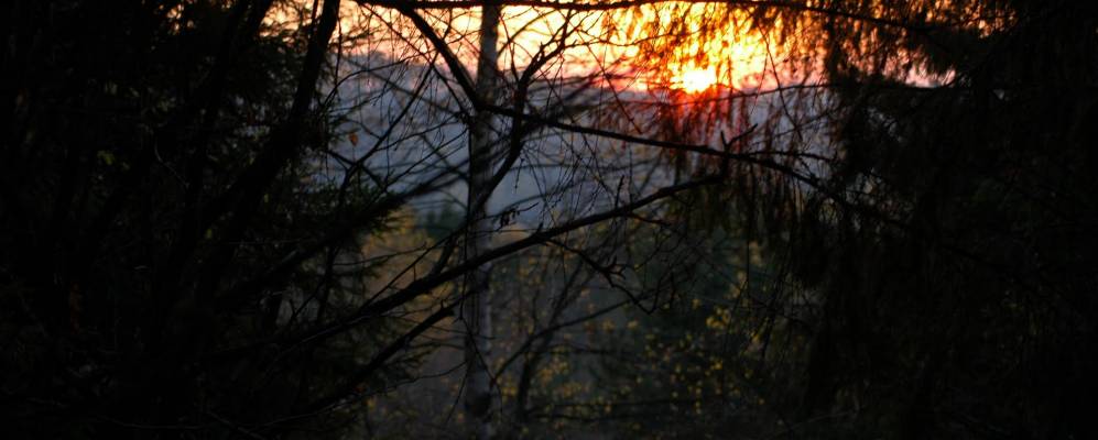 Фотография Низовской