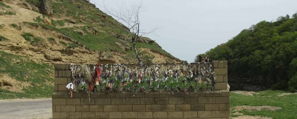 
            Фотография Мугартов