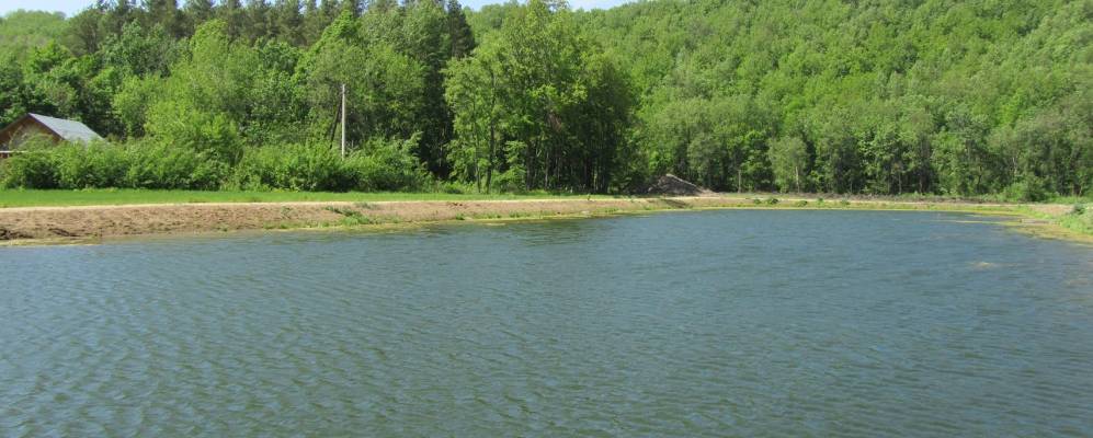 
            Фотография Арбузов-Барана