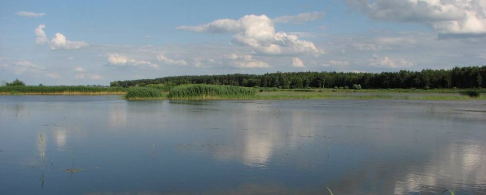 
            Фотография Хотына