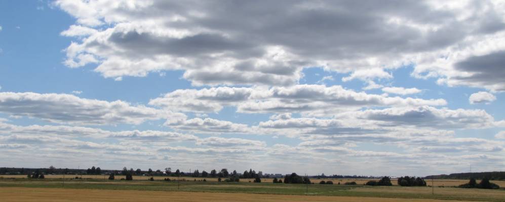 
            Фотография Олинцев