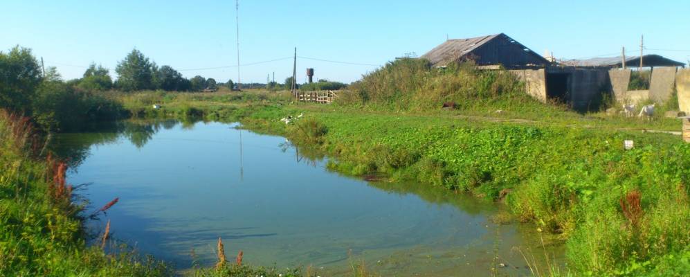 
            Фотография Карпово