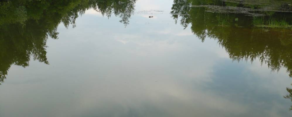 
            Фотография Бабурино