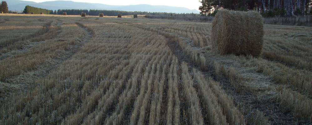 
            Фотография Каменки