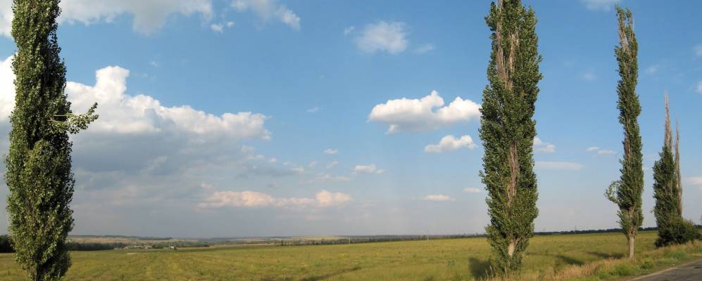 нижнее луганск. нижнее луганск. поселок желтое луганская область. нижнее луганск. дьяково луганская область.