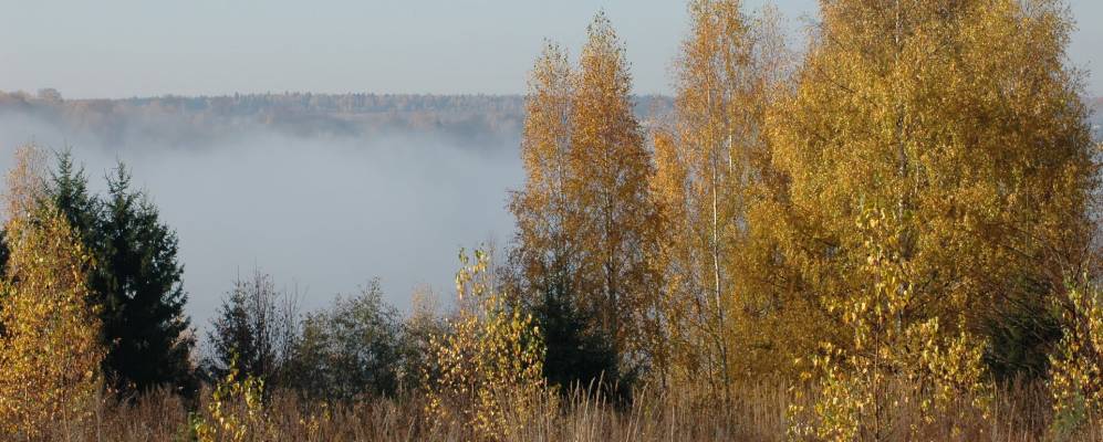Фотография Русиновки