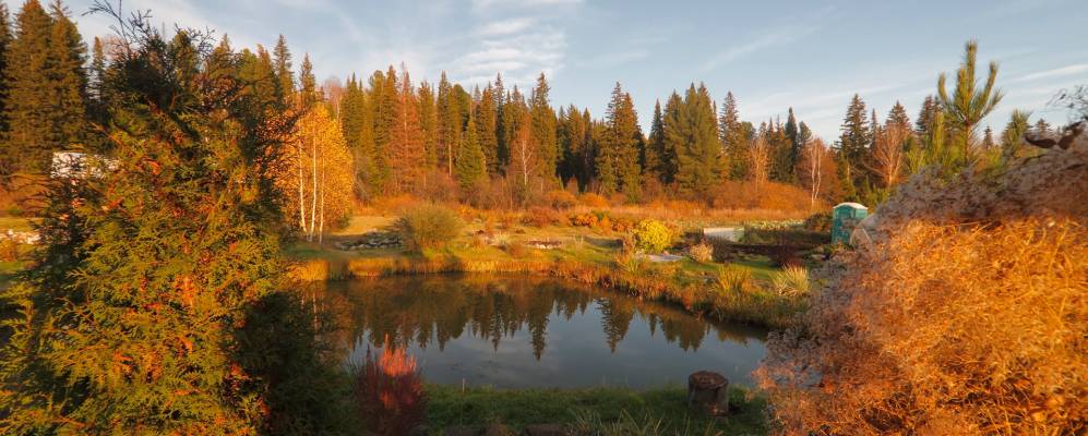 Фотография Осиновки