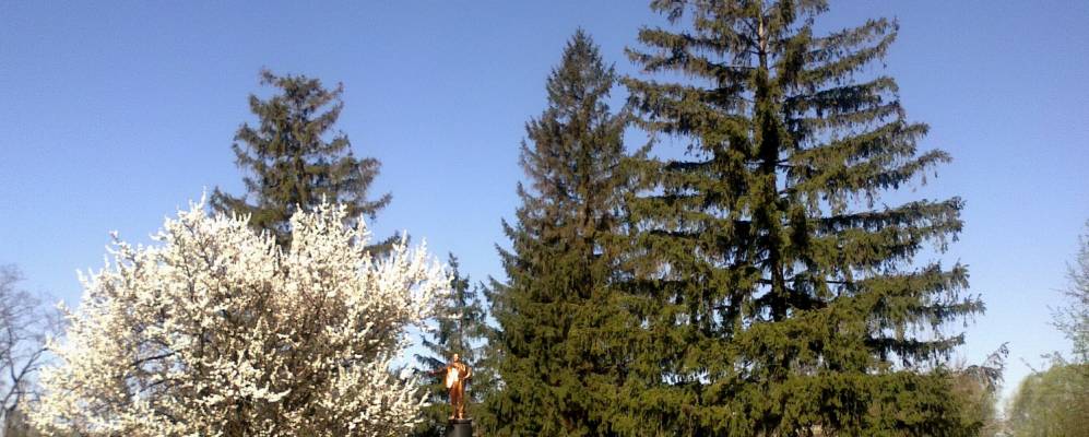 Фотография Погребняки