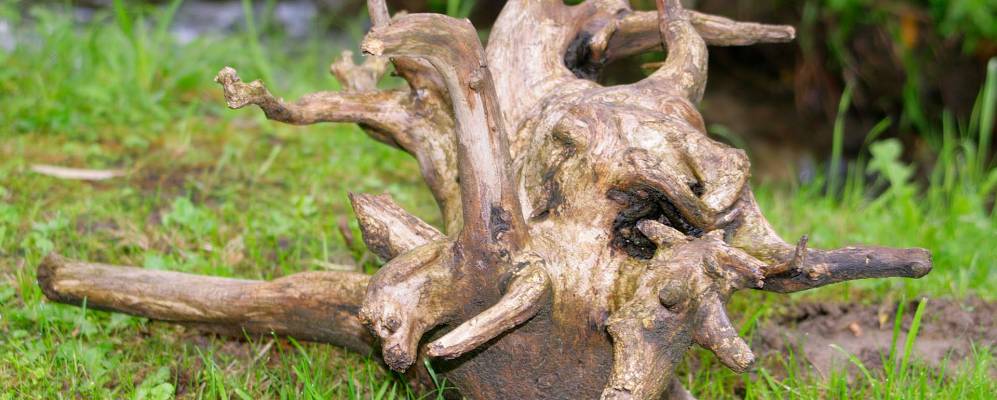 
            Фотография Кульма