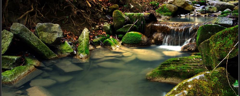 
            Фотография Виттербаха