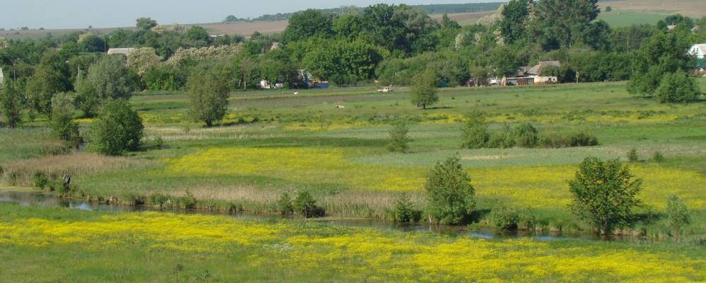 
            Фотография Зоревки