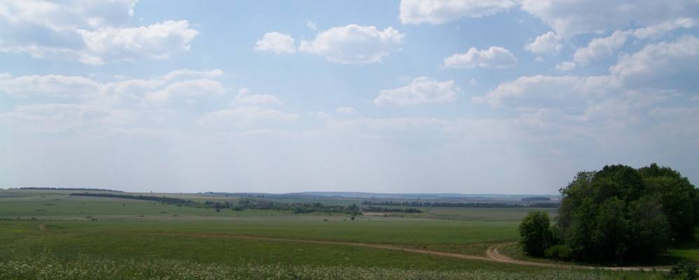 
            Фотография Асяни