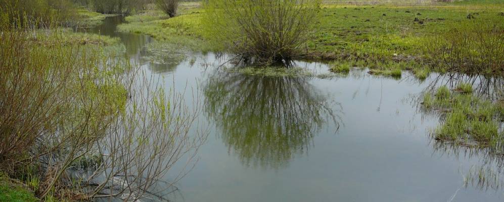 
            Фотография Корвяково