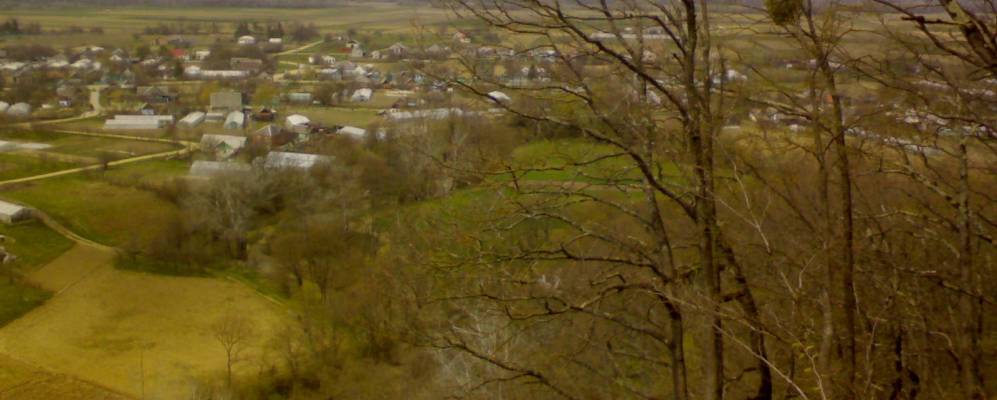 
            Фотография Тернового