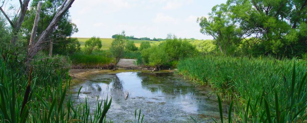 Фотография Качановки