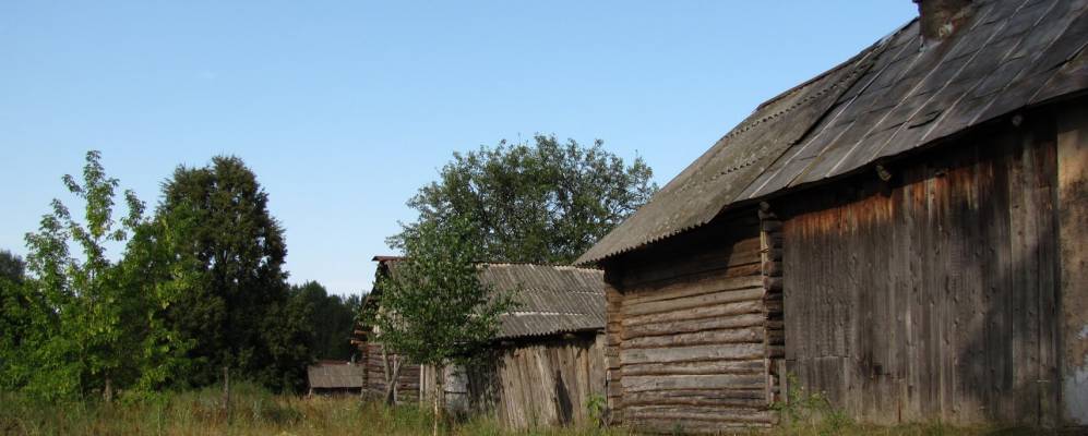 
            Фотография Долгого