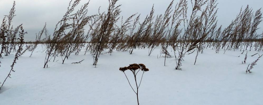 Фотография Тишкино