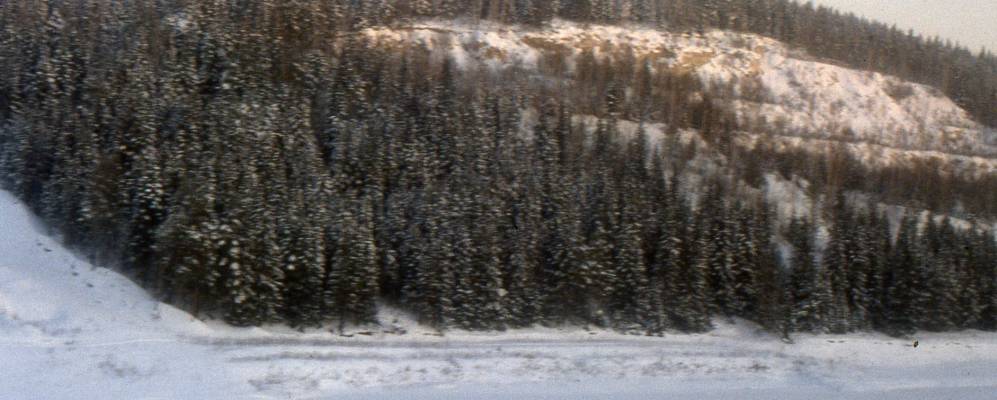 
            Фотография Калиновского