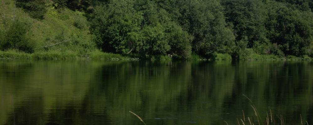 
            Фотография Сасыково