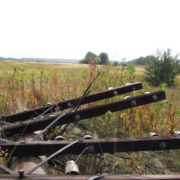 Николаевка