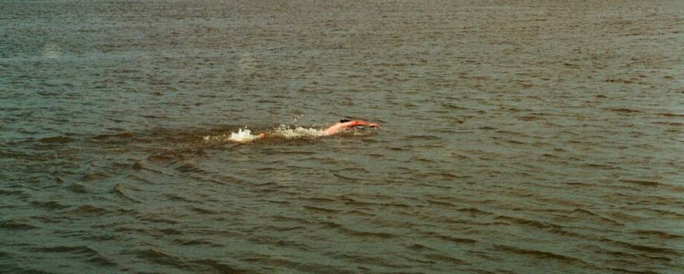 
            Фотография Доронино