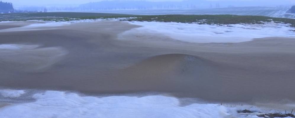 
            Фотография Сороков