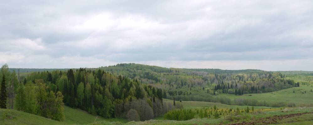 
            Фотография Лесоучастка 831-го