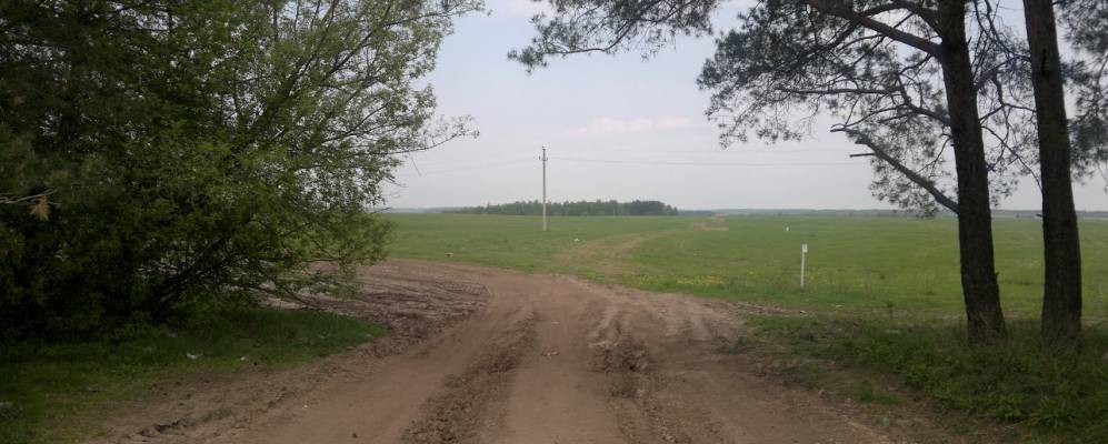 
            Фотография Бобровника