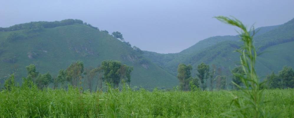 
            Фотография Ястребовки