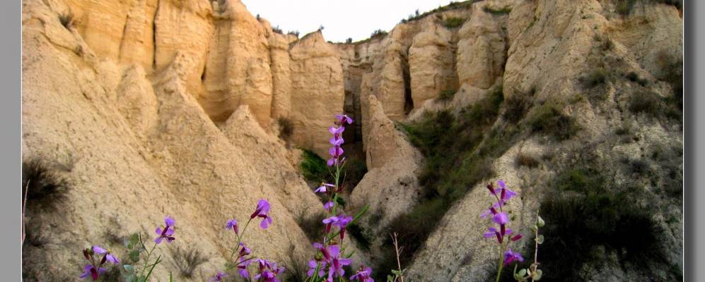 
            Фотография Альбудеите