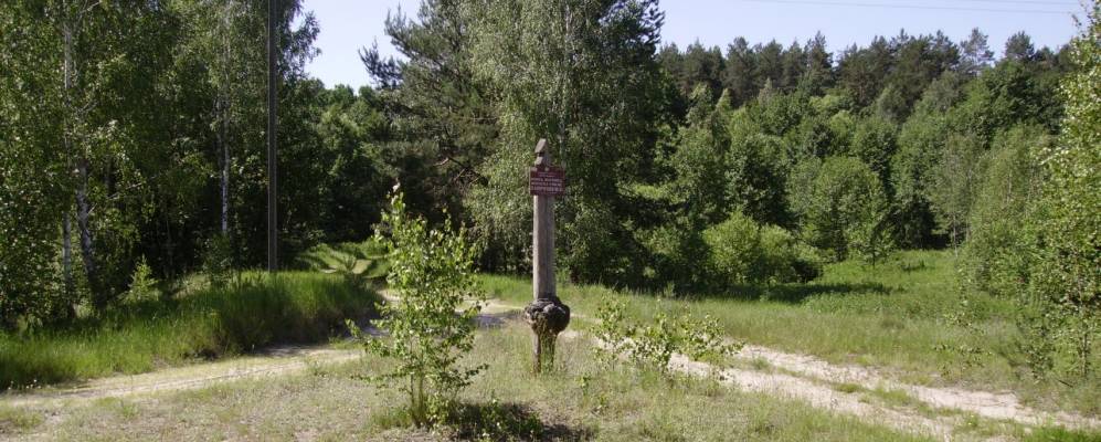 
            Фотография Никитского