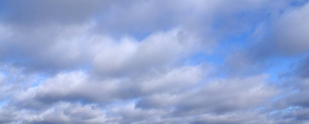 
            Фотография Максимовской