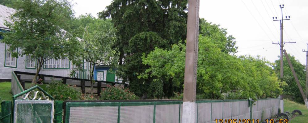 
            Фотография Барсуки