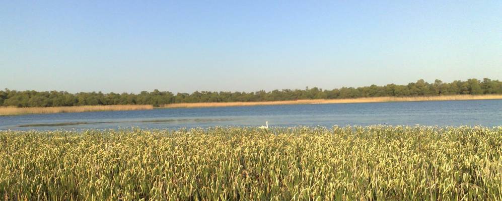 
            Фотография Гливенко