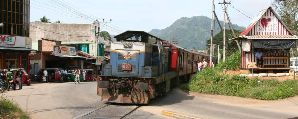 
            Фотография Гамполы