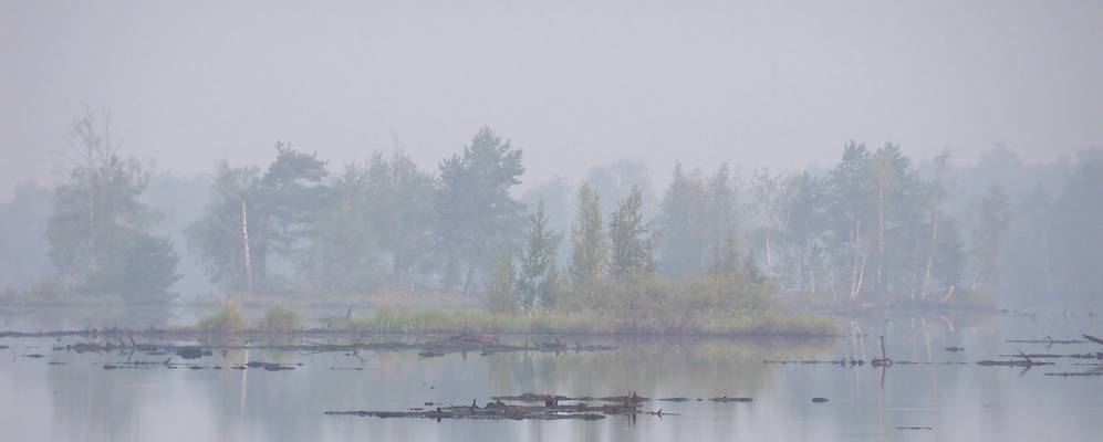 
            Фотография Мильково