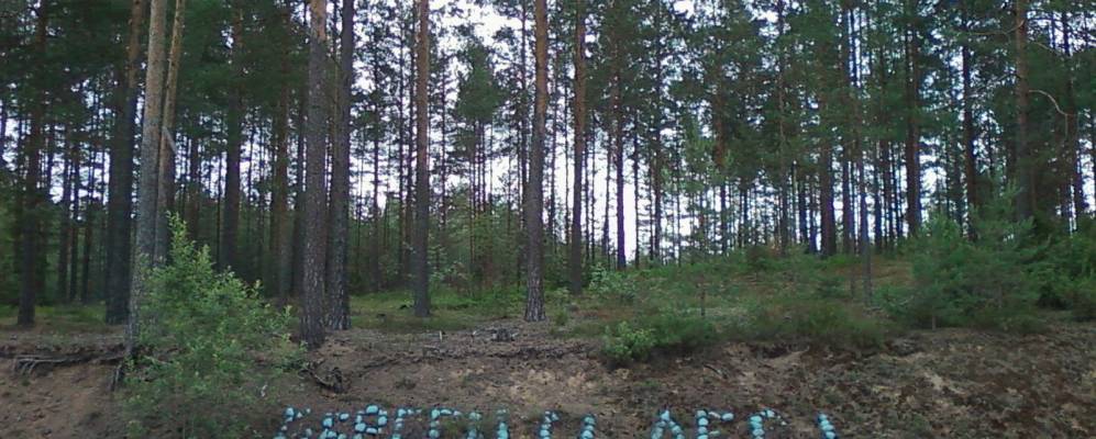 
            Фотография деревни Угольцы